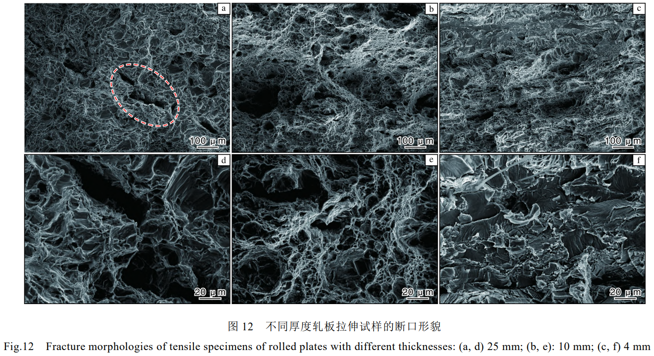 1764035301924662.png 截圖20251125094603.png